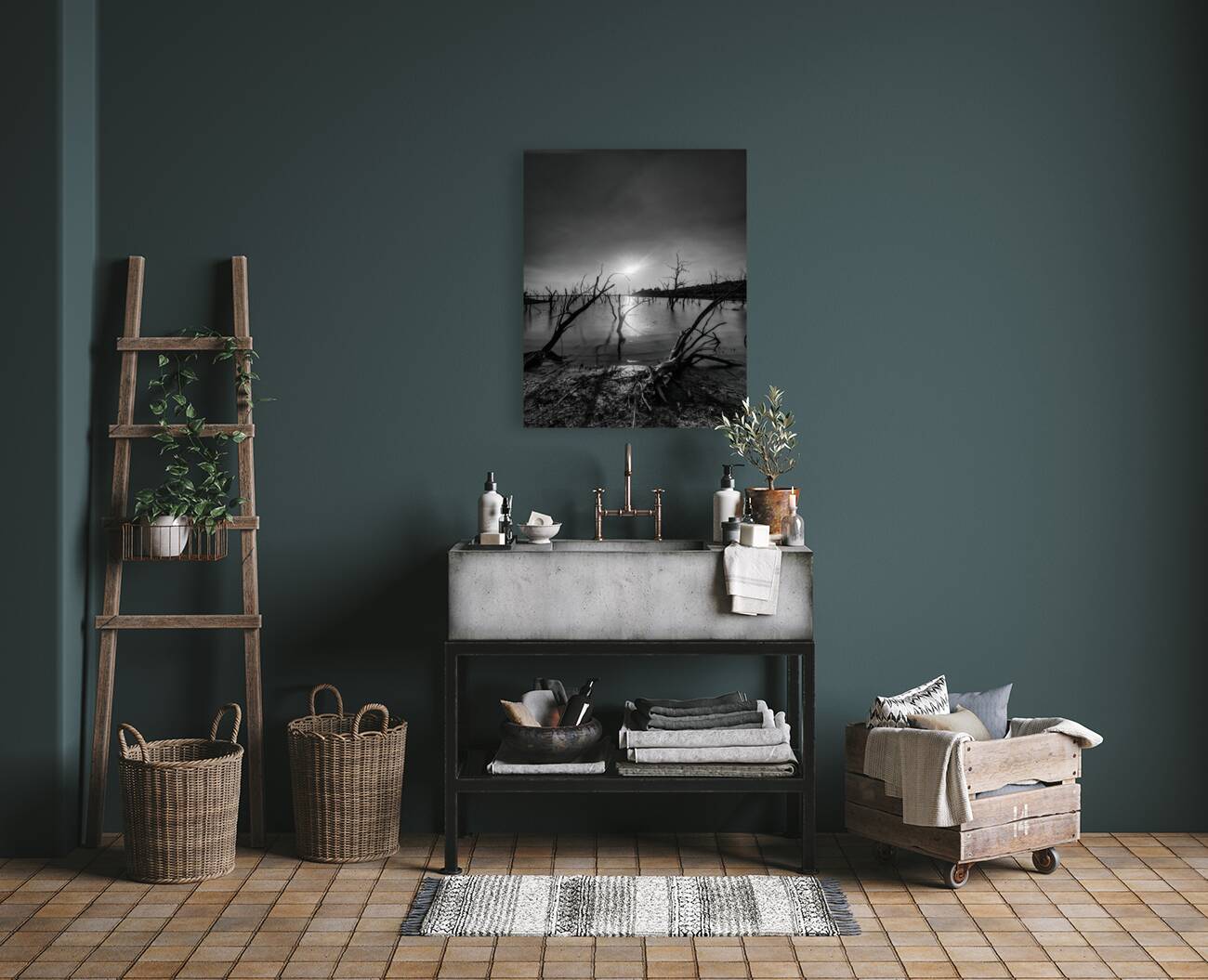 Black and white Texas lake Reproduction