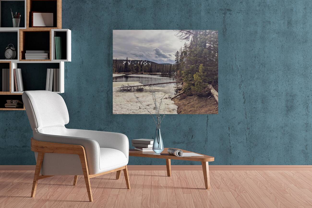 Snowy Colorado Reproduction