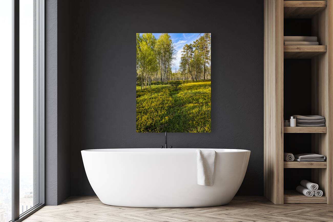 Colorado Forest Reproduction