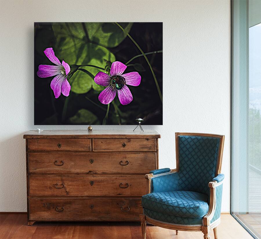 Flowers  and bee Reproduction