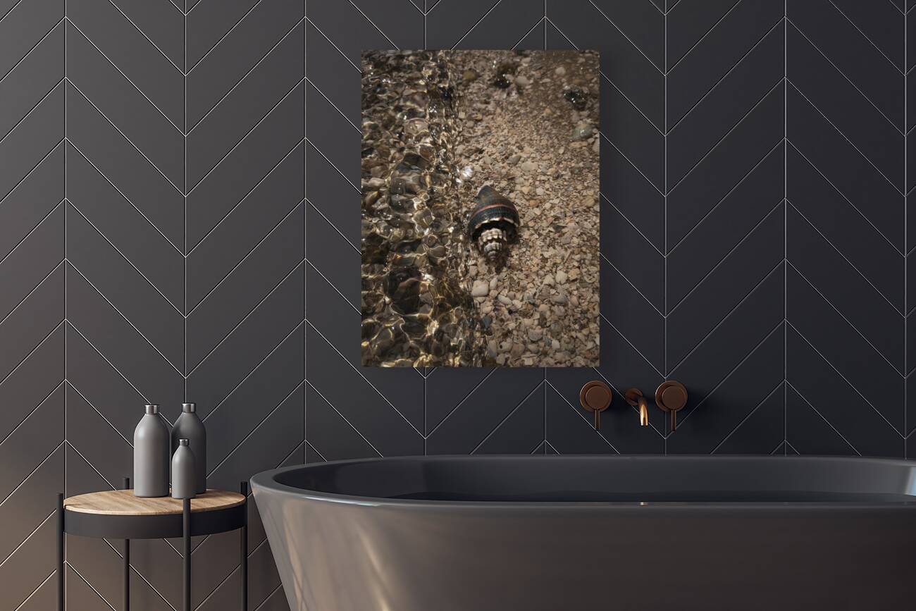 Before the wave Reproduction