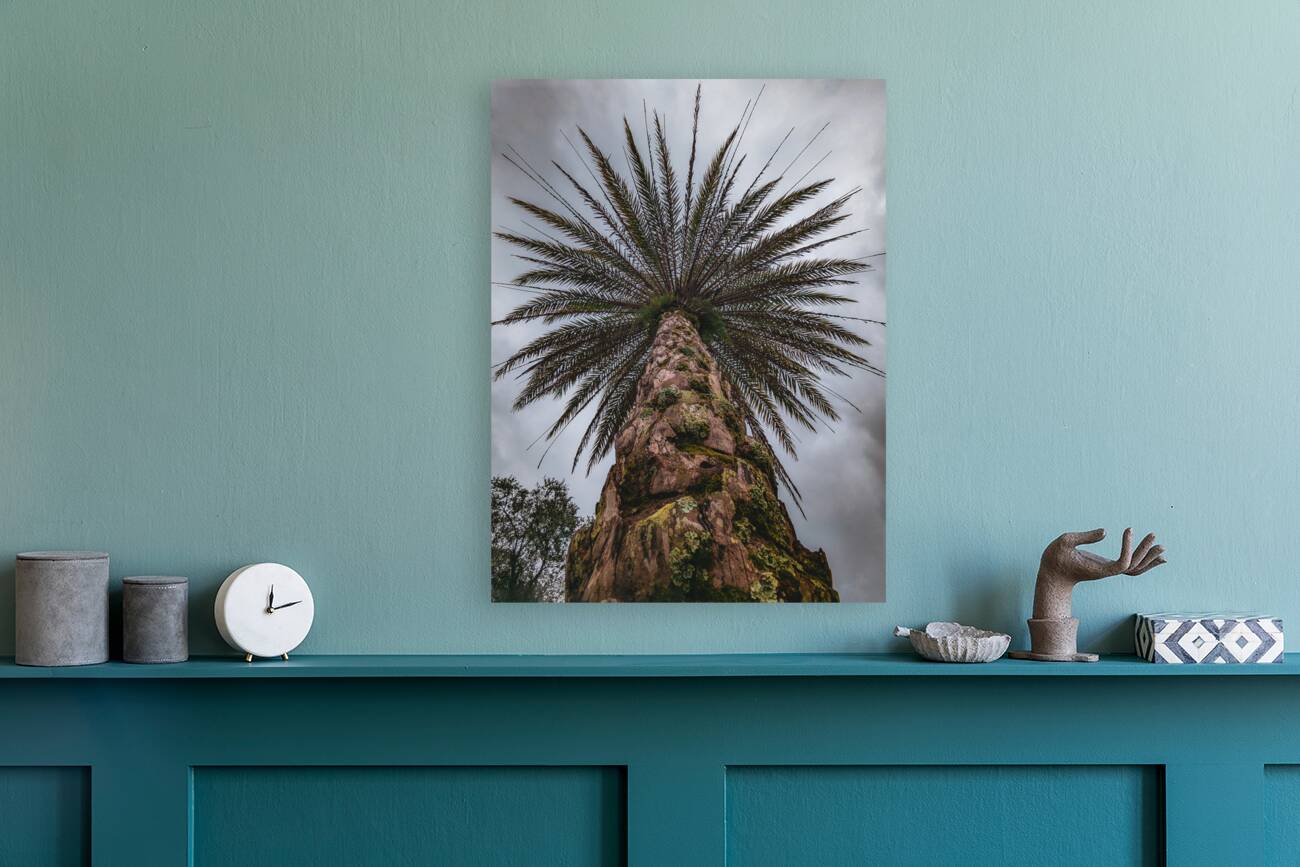 Palm Tree Reproduction