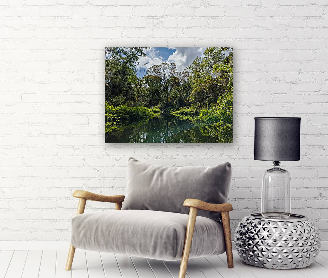 Paradise Reproduction