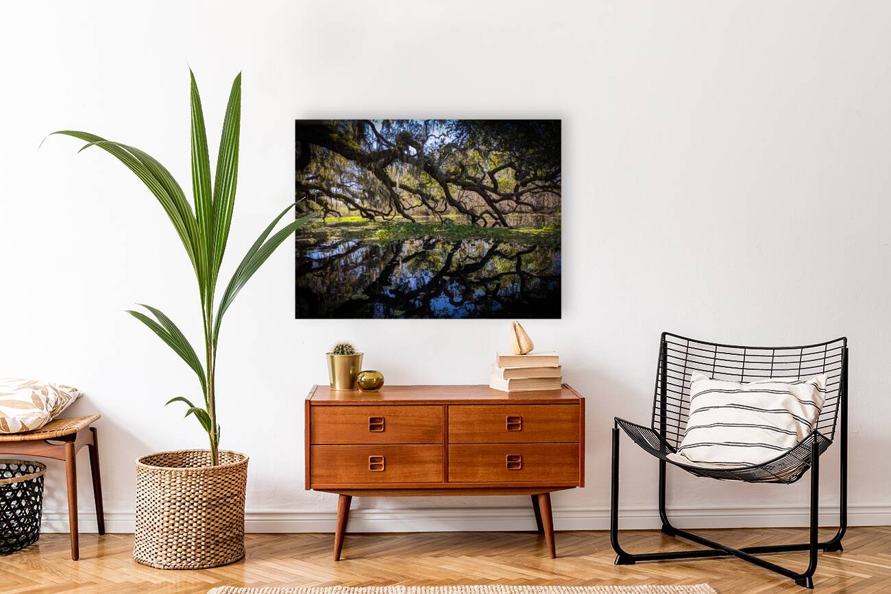 Reflections Reproduction