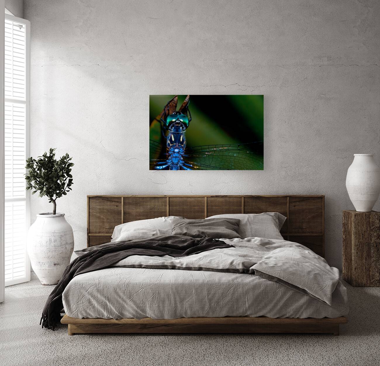 Blue Dragonfly Reproduction