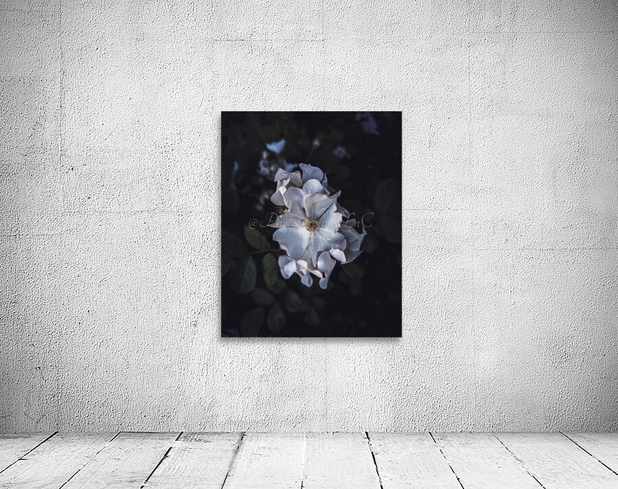 Flowers Wall Preview