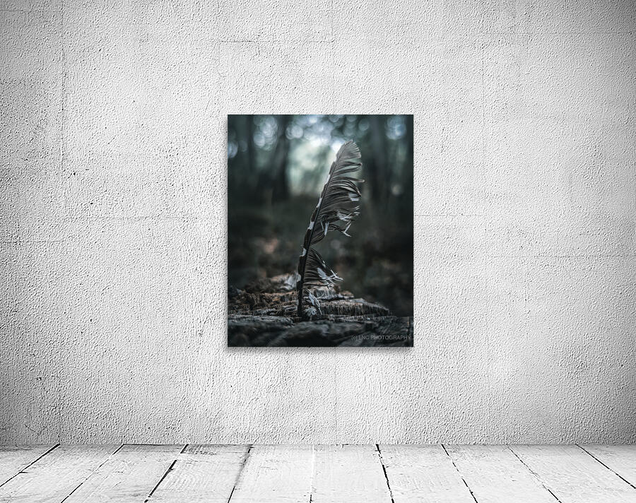 Feather Wall Preview