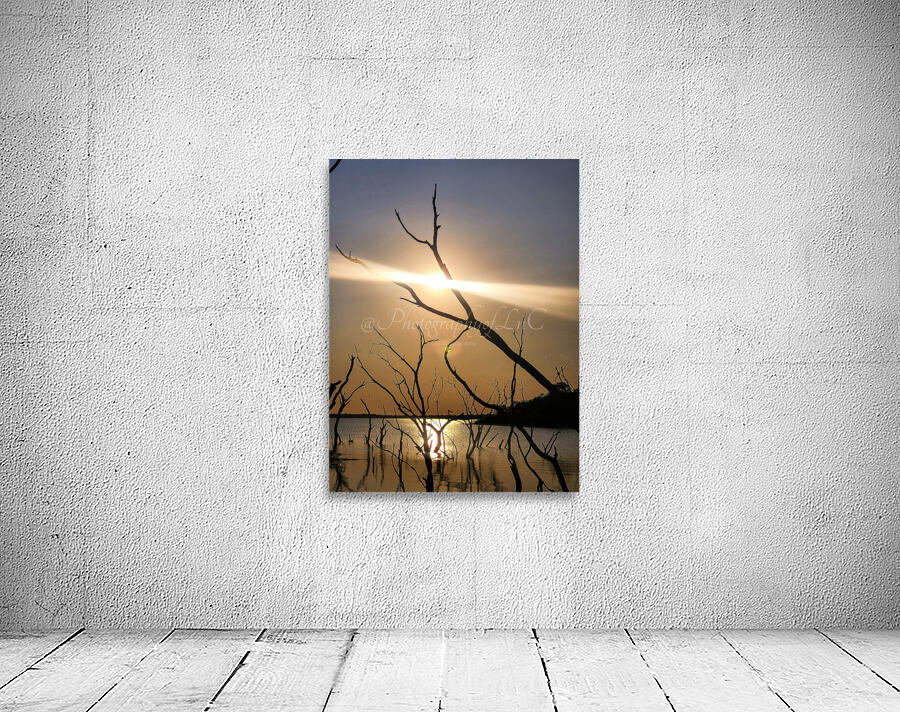 Light on the lake Wall Preview