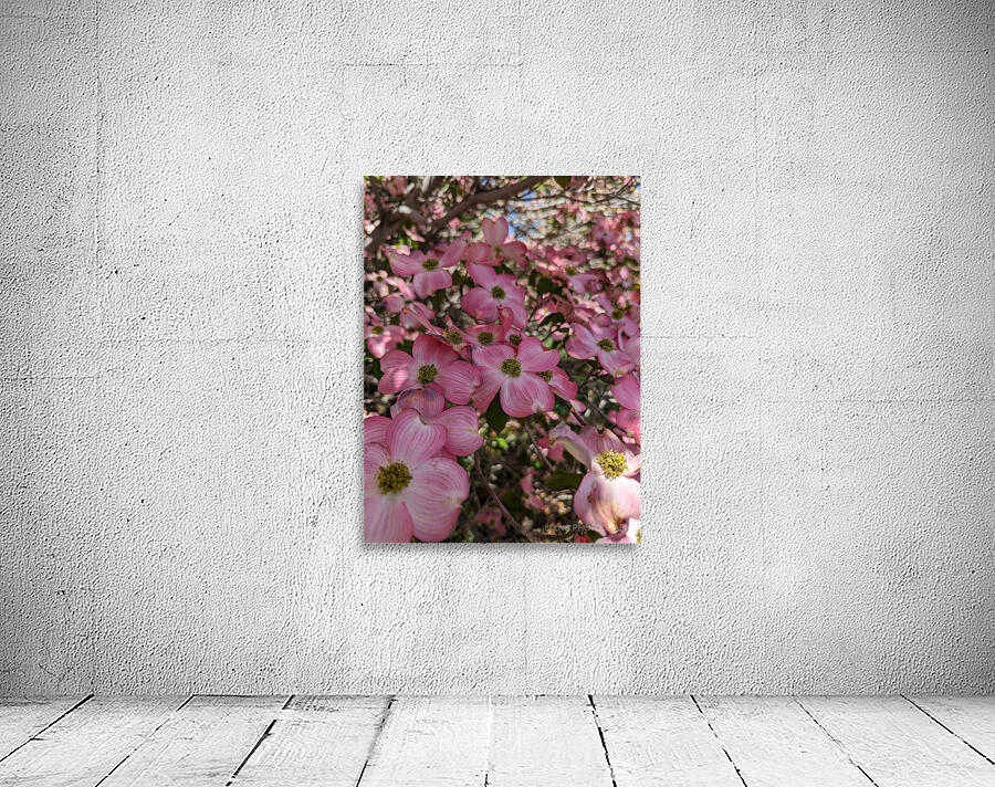 Apple Blossoms Wall Preview