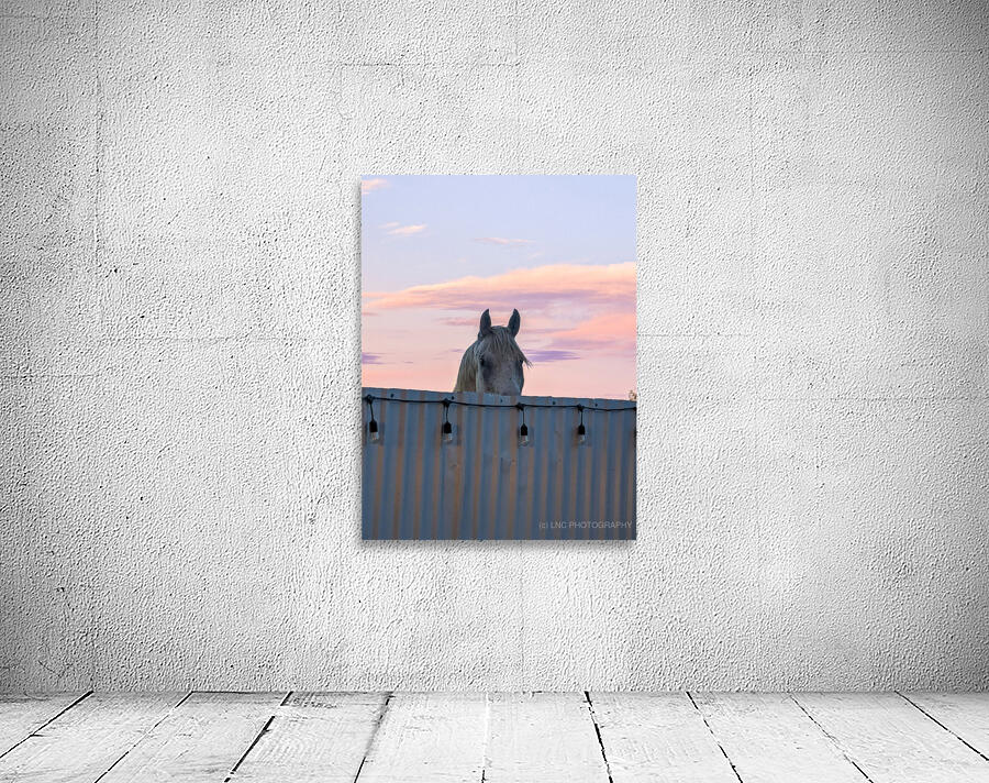 Peekaboo Horse Wall Preview