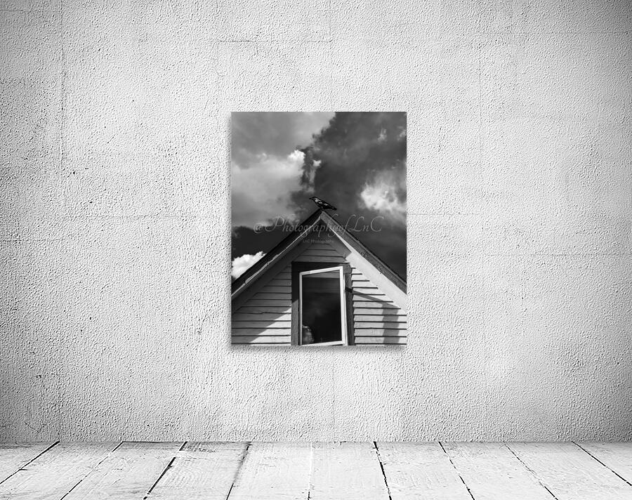 Black Bird on roof Wall Preview