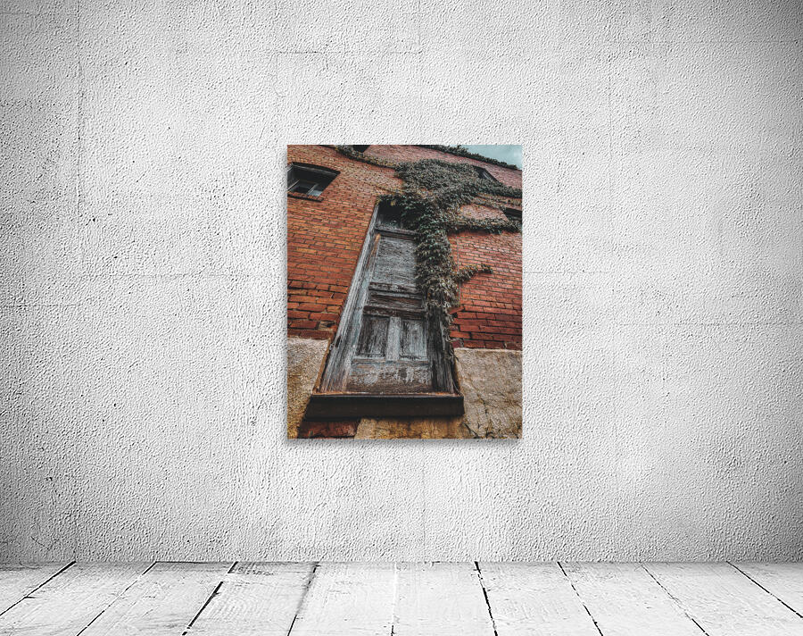 Door Vine Wall Preview