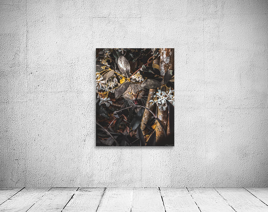 Momma Cat Wall Preview