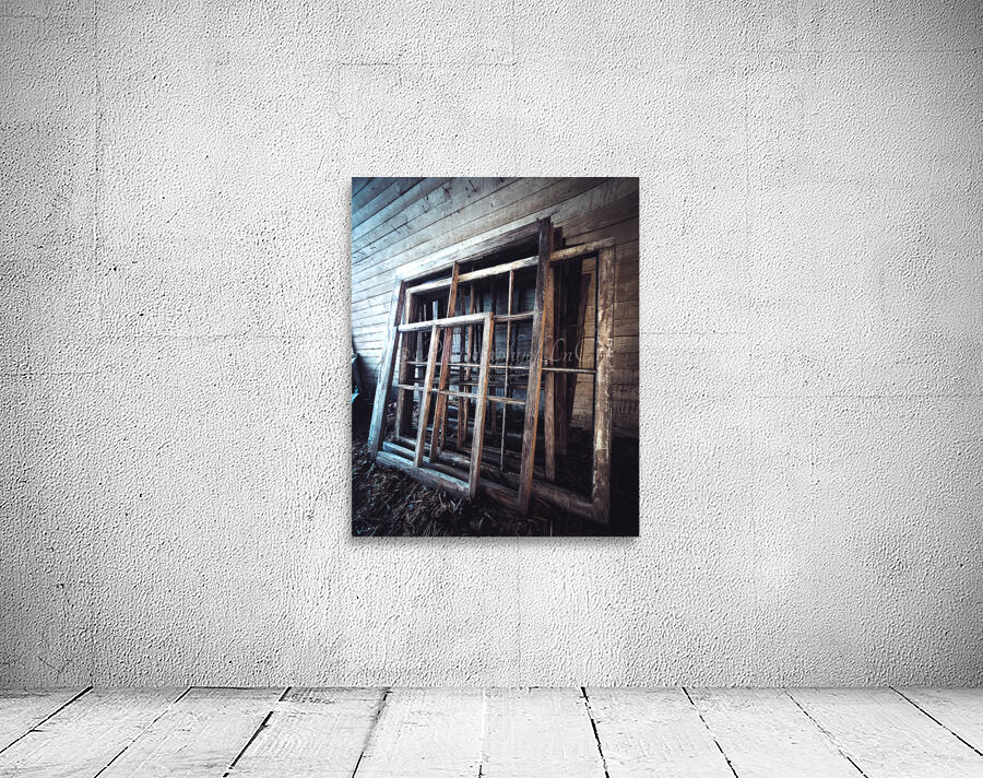 Window in Time Wall Preview