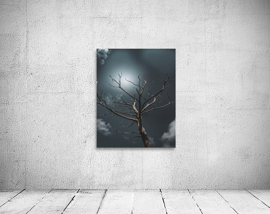 Dead Tree Wall Preview