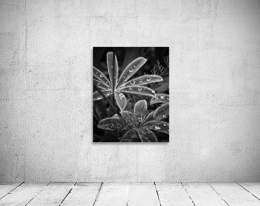 Fuzzy Rain Wall Preview