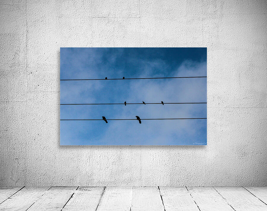 Birds on a wire Wall Preview