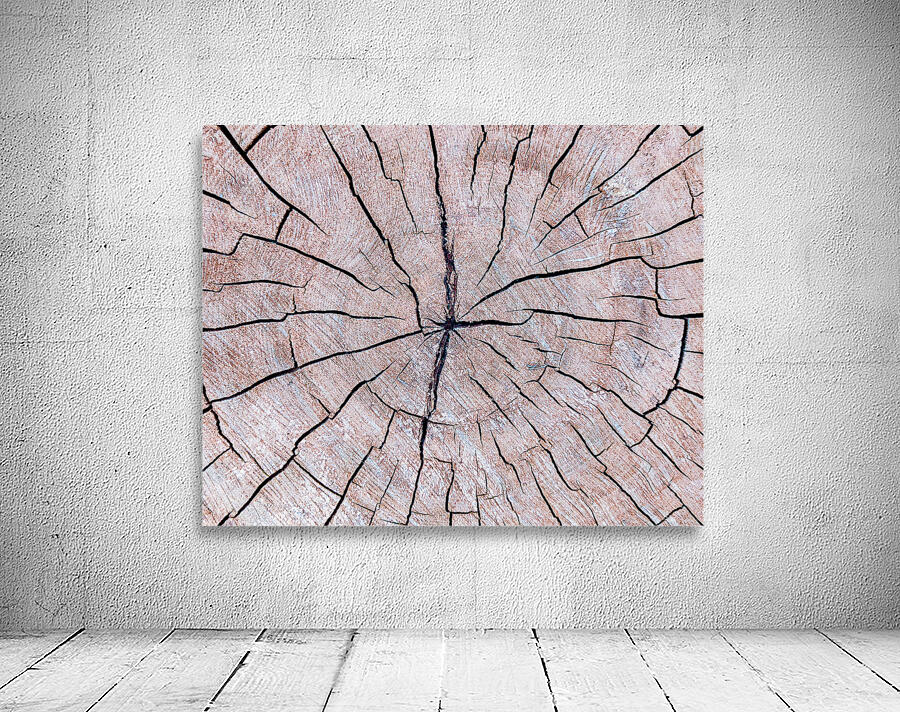 Tree Fingerprint Wall Preview