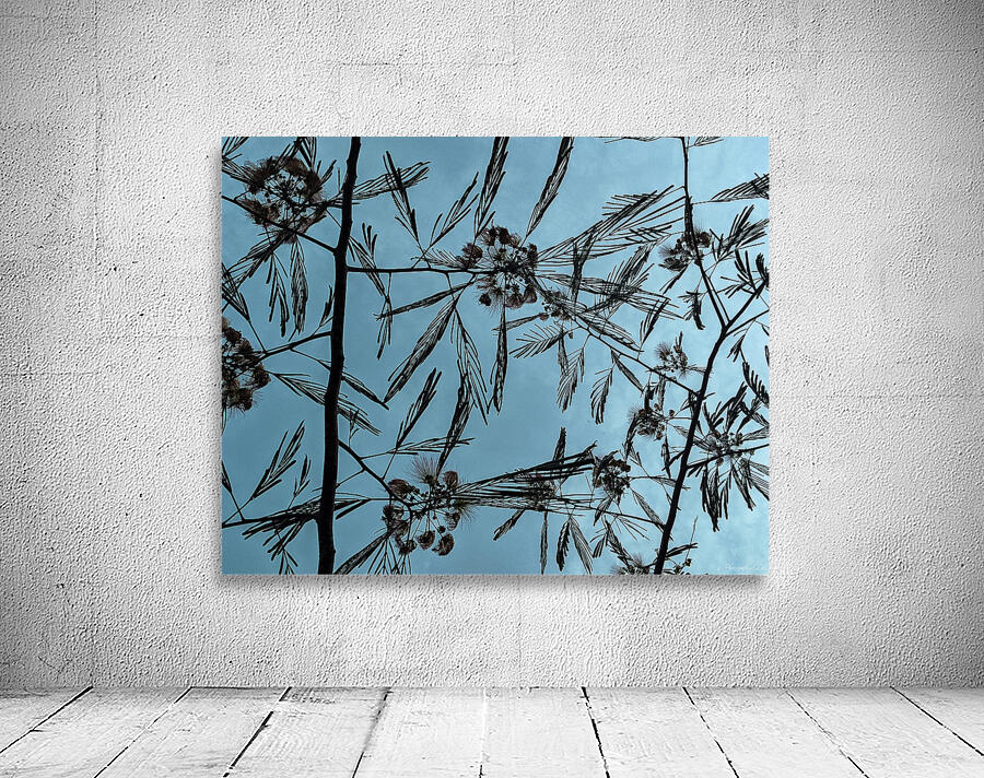 Mimosa Tree Wall Preview