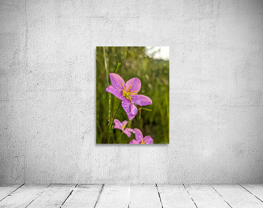 Pink Flower Wall Preview