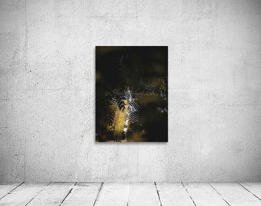 Light Fern Wall Preview