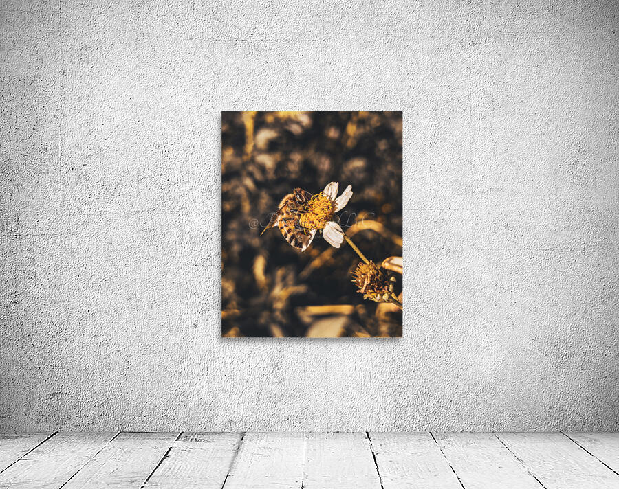 Bee Wall Preview