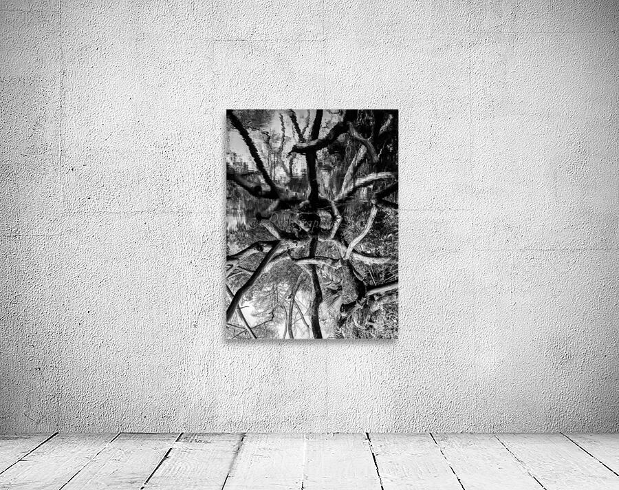 Black and White Reflection Wall Preview