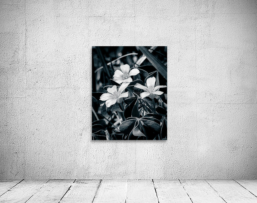 Black and White Flowers Wall Preview