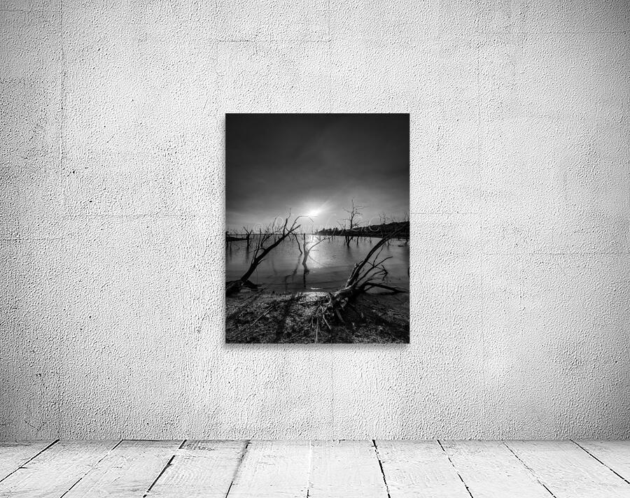 Black and white Texas lake Wall Preview
