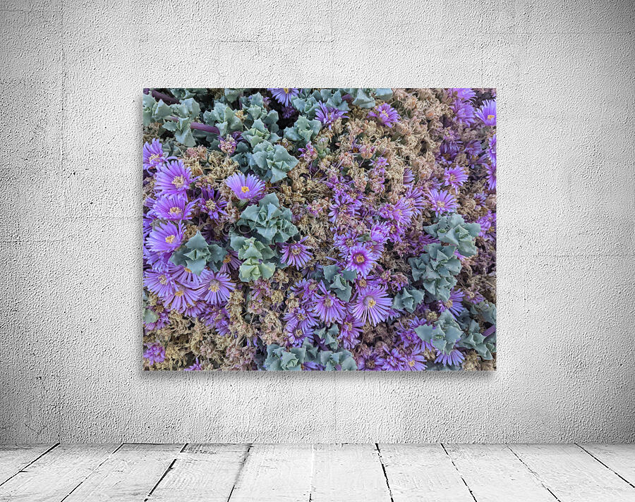 Pastel Plants Wall Preview