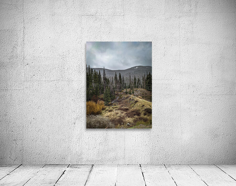 Moody Colorado Wall Preview