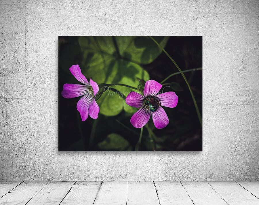 Flowers  and bee Wall Preview