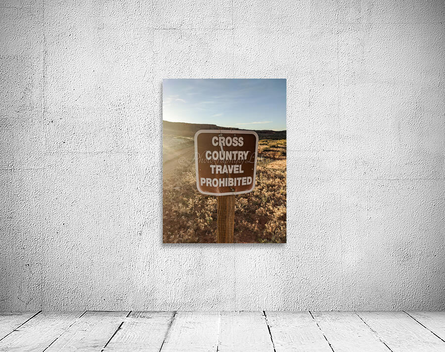 Cross country Wall Preview