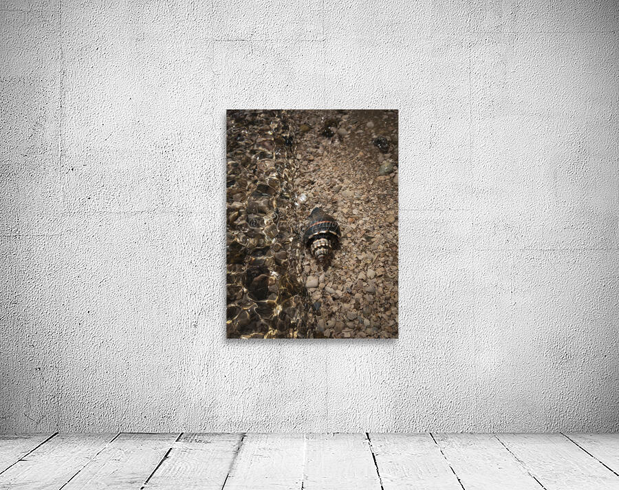 Before the wave Wall Preview