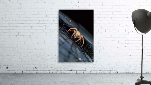 Meal Time Wall Preview