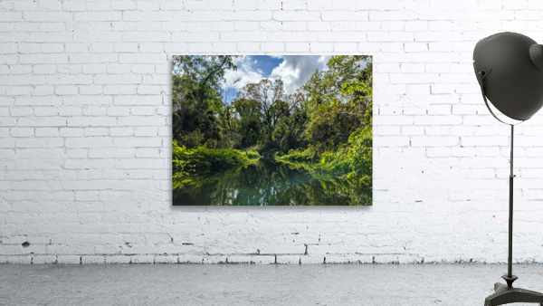 Paradise Wall Preview