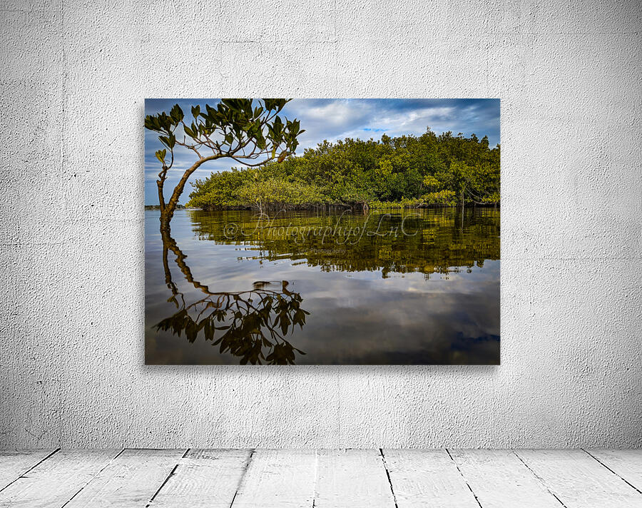 Island Time Wall Preview