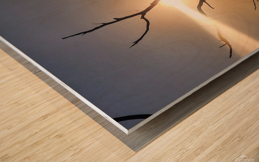 Light on the lake Wood print