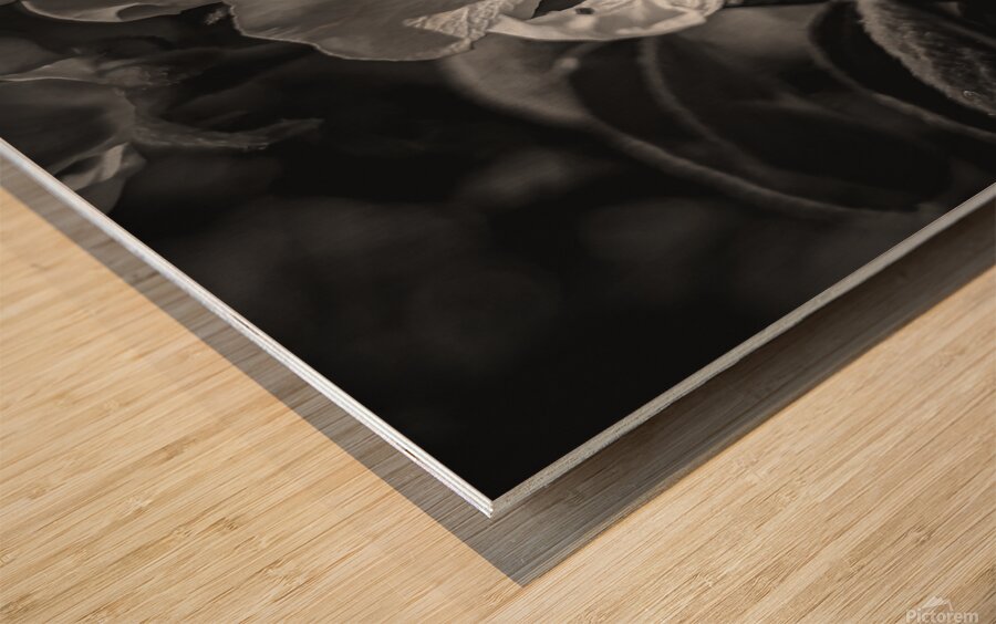 Flower Black and White Wood print