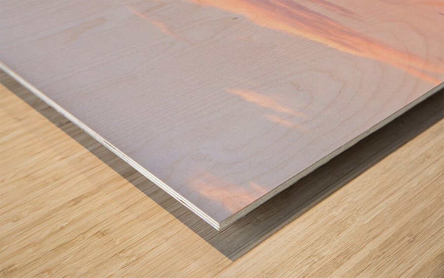 Peekaboo Horse Wood print