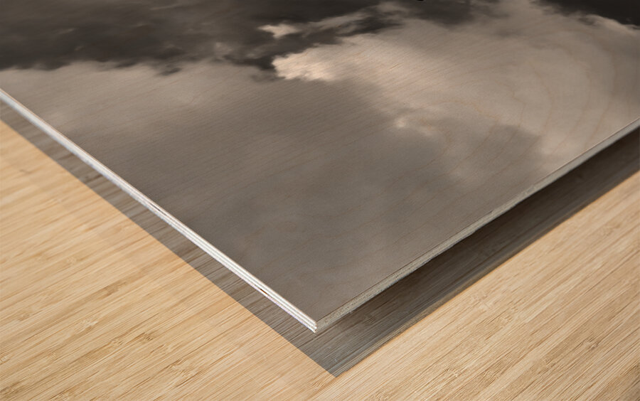 Black Bird on roof Wood print