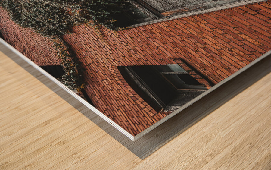 Door Vine Wood print