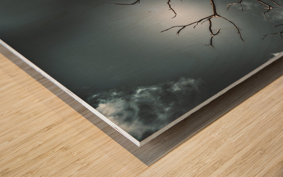 Dead Tree Wood print