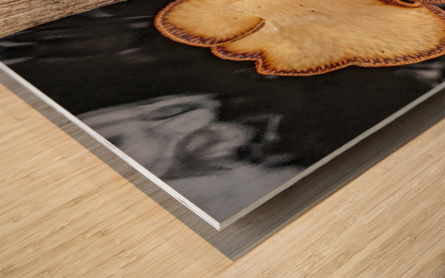 Water Mushroom Wood print