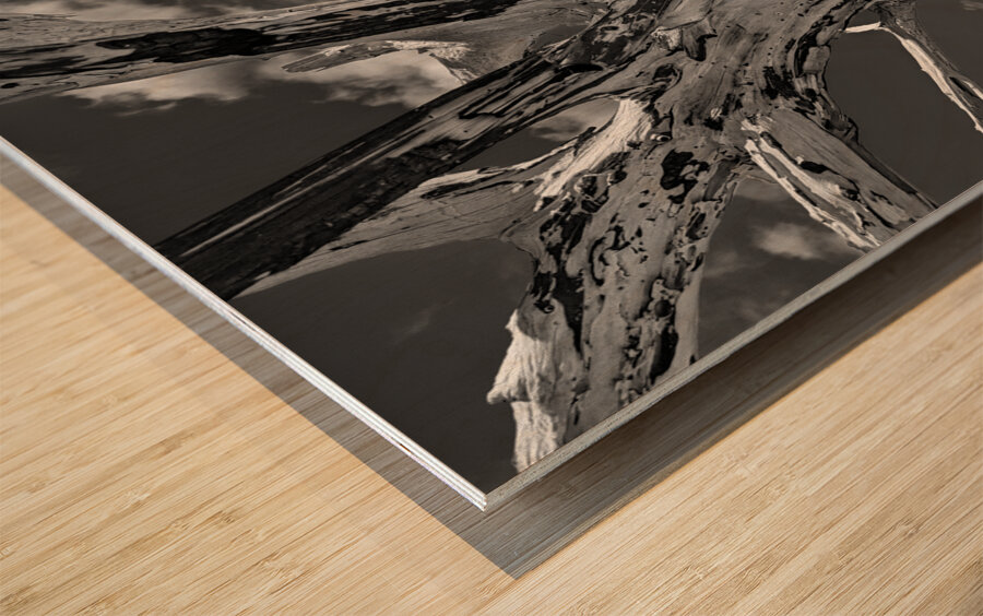 Driftwood Wood print