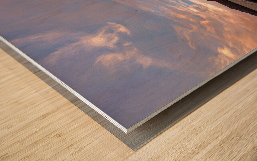 Caballo Lake Dock Wood print