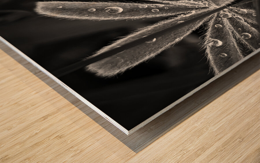 Fuzzy Rain Wood print