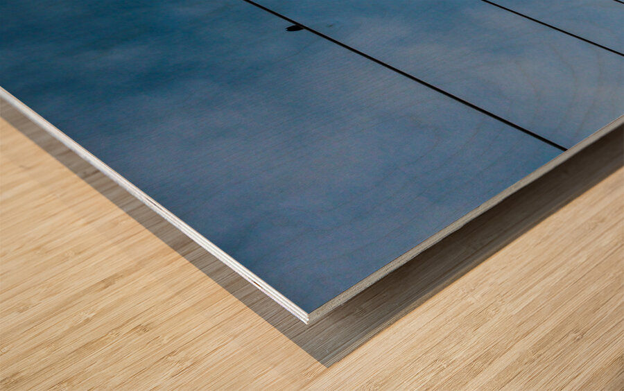 Birds on a wire Wood print