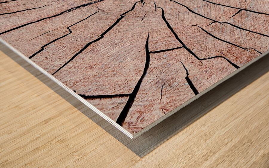 Tree Fingerprint Wood print