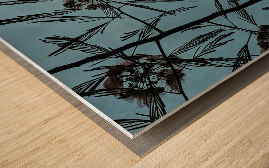 Mimosa Tree Wood print